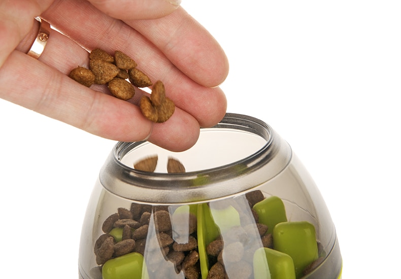 Dog's Colorful Treat Toy