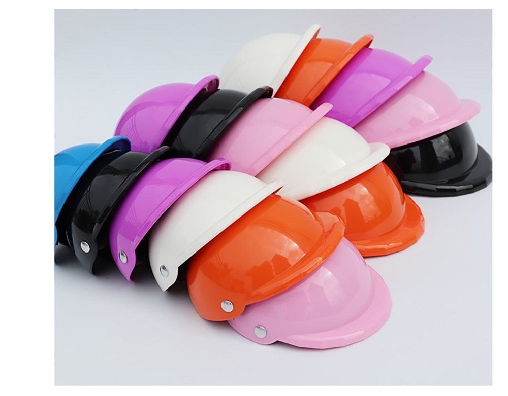 Small Pet Helmet and Sunglasses