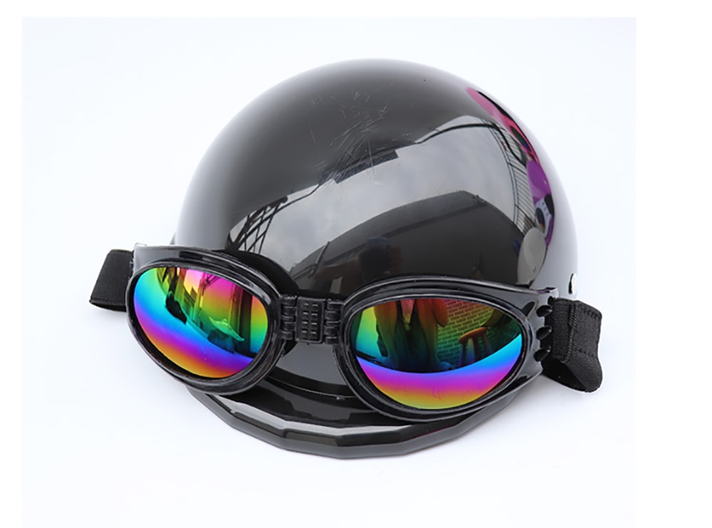 Small Pet Helmet and Sunglasses