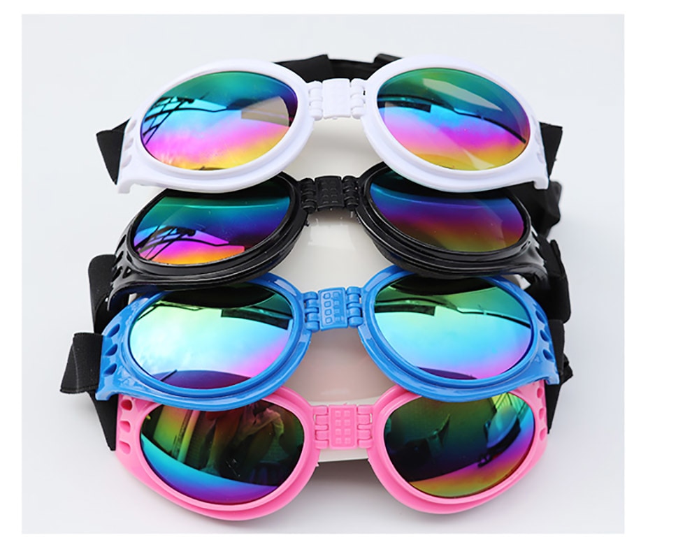 Small Pet Helmet and Sunglasses