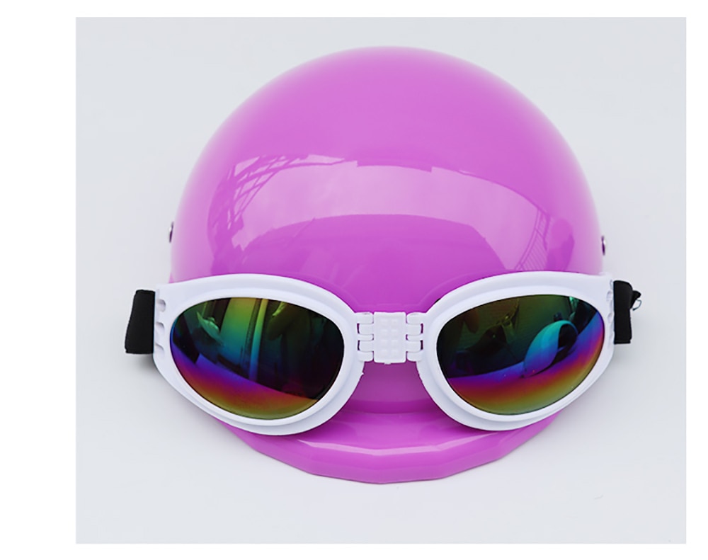 Small Pet Helmet and Sunglasses